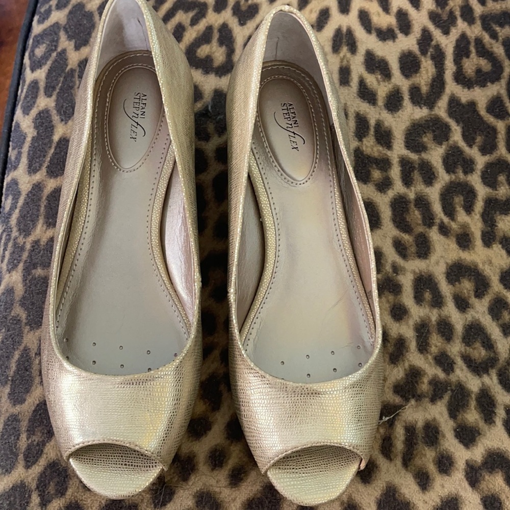 Alfani shoes